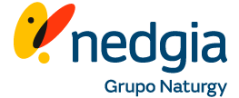 Colaboradores de Nedgia