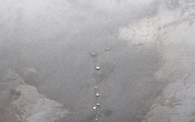 Por qué salen manchas de humedad en la pared y cómo prevenirlas